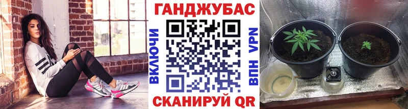Бошки марихуана VHQ  дарк нет какой сайт  Емва 